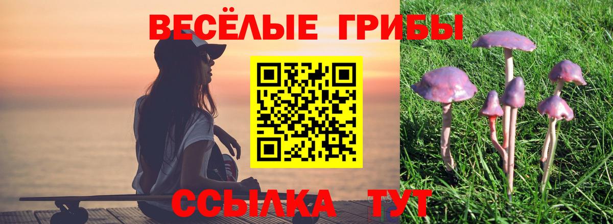 Галлюциногенные грибы Psilocybine cubensis  Вход с VPN  Арсеньев 
